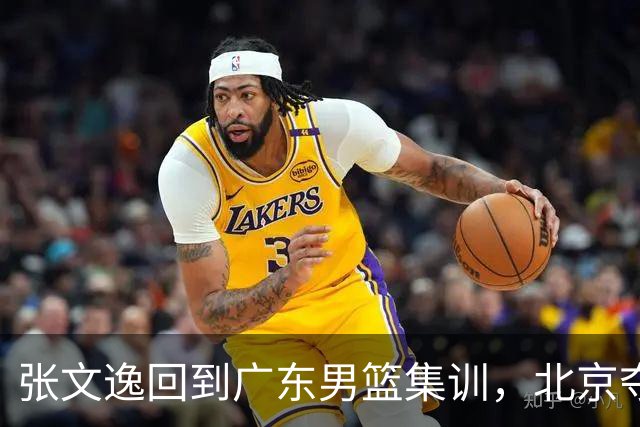 张文逸回到广东男篮集训，北京夺冠功勋确定退役，上海欲续约弗格